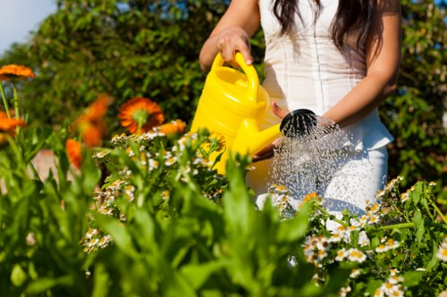 Benefits of deep carpet cleaning