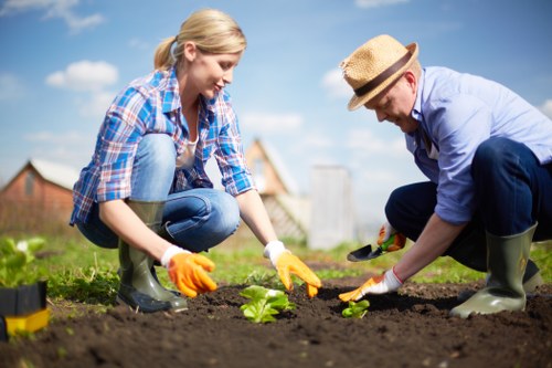Eco-friendly carpet cleaning products