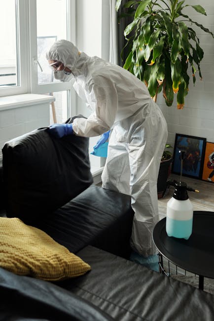 A person wearing black gloves is using a handheld upholstery cleaning device connected to a power cord to deep clean a dark grey fabric sofa in a residential setting. The sofa has a modern design with
